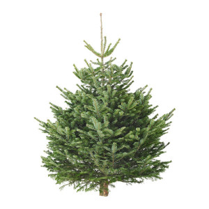 alberi natale ikea 2015 prezzi