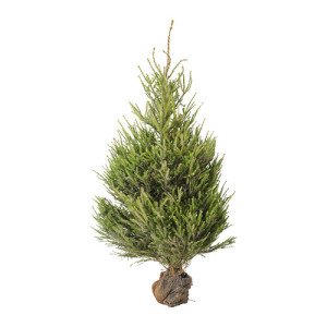 ikea albero natale 2015 prezzi